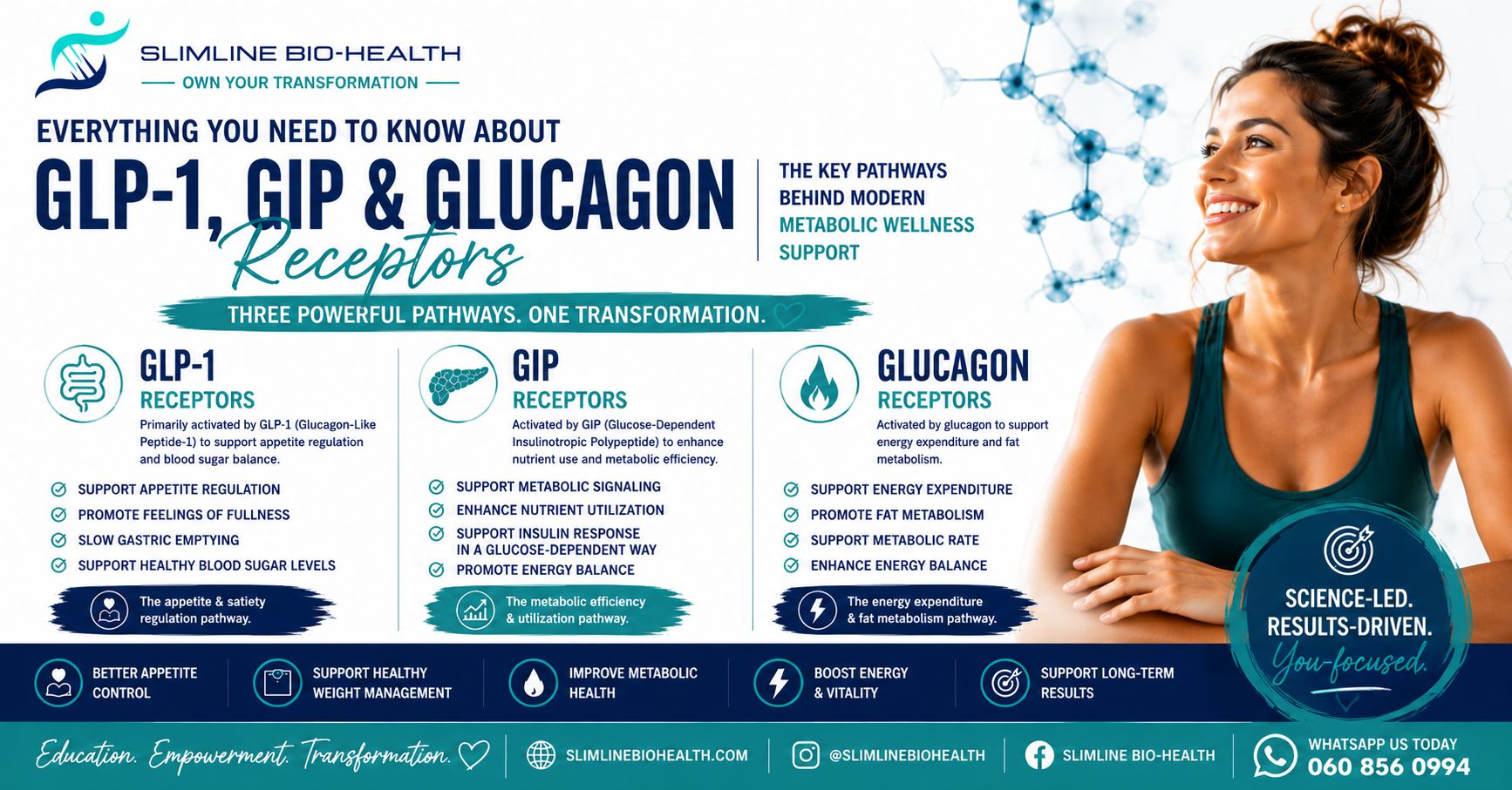 GLP-1 GIP and Glucagon receptors educational featured image